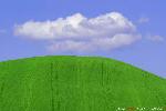 Immagine 059.jpg